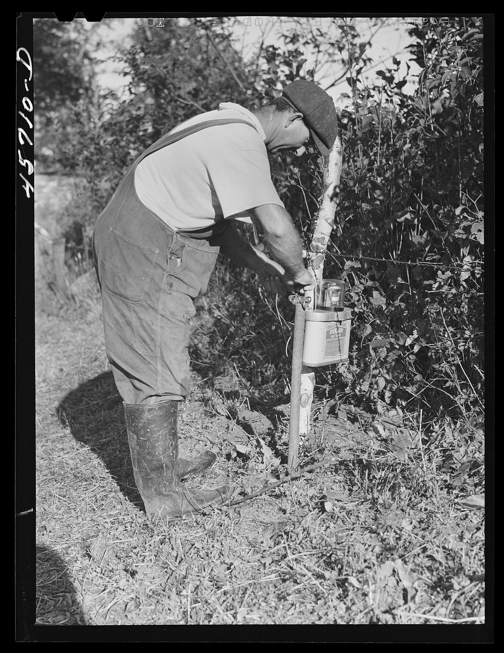 Mr. William Gaynor connecting the electric fence on his farm near Fairfield, Vermont. Sourced from the Library of Congress.