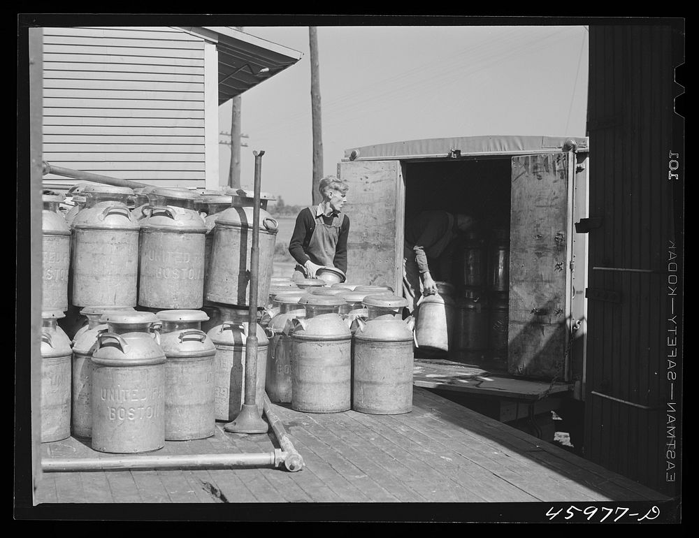 [Untitled photo, possibly related to: Loading milk cans into a truck at the United Farmers' Co-op Creamery at East…