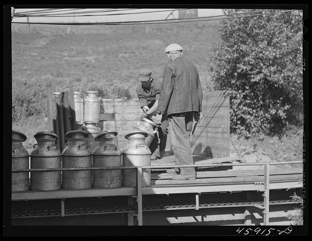 [Untitled photo, possibly related to: Farmer unloading milk cans at the United Farmers' Co-op Creamery. East Berkshire…