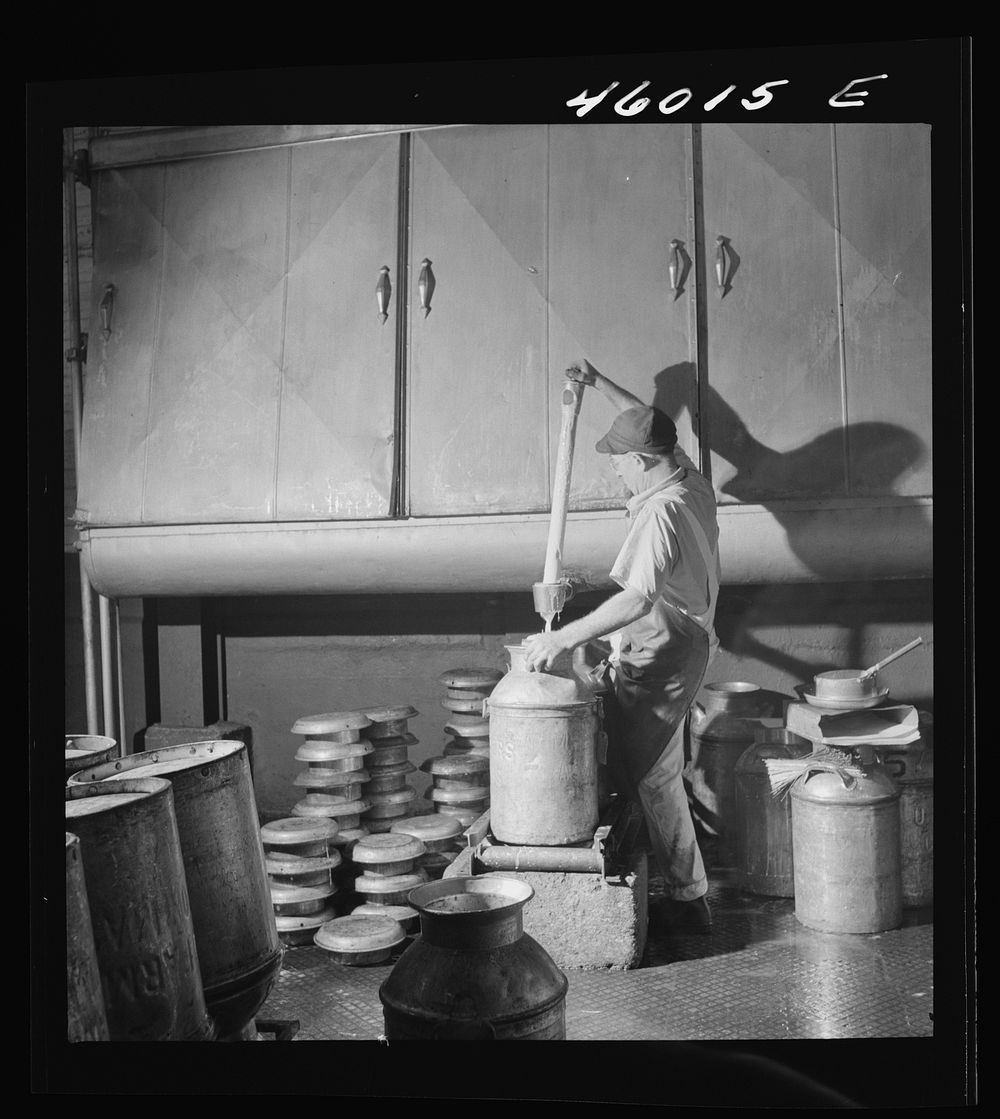 Filling milk cans with cream as it flows from the cooling unit, at the United Farmers' Cooperative Creamery, Sheldon…