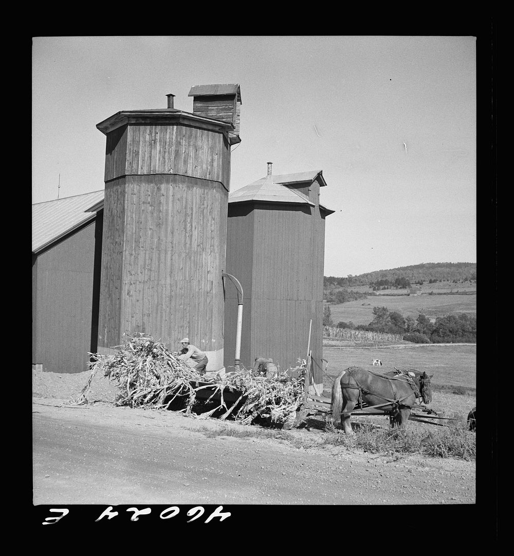 Filling a silo on a farm near Enosburg Falls, Vermont. Sourced from the Library of Congress.