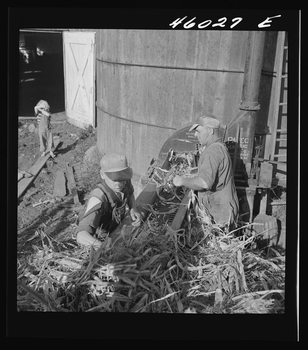 [Untitled photo, possibly related to: Filling a silo on a farm]. Sourced from the Library of Congress.