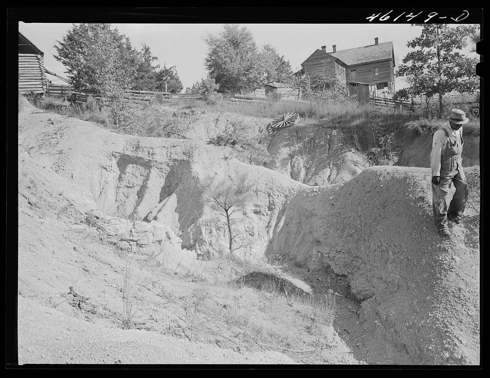 [Untitled photo, possibly related to: Greene County, Georgia. Severe gully erosion on a farm in northwestern]. Sourced from…