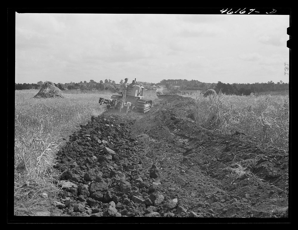 [Untitled photo, possibly related to: Greensboro, Greene County, Georgia (vicinity). Terracing on a farm]. Sourced from the…
