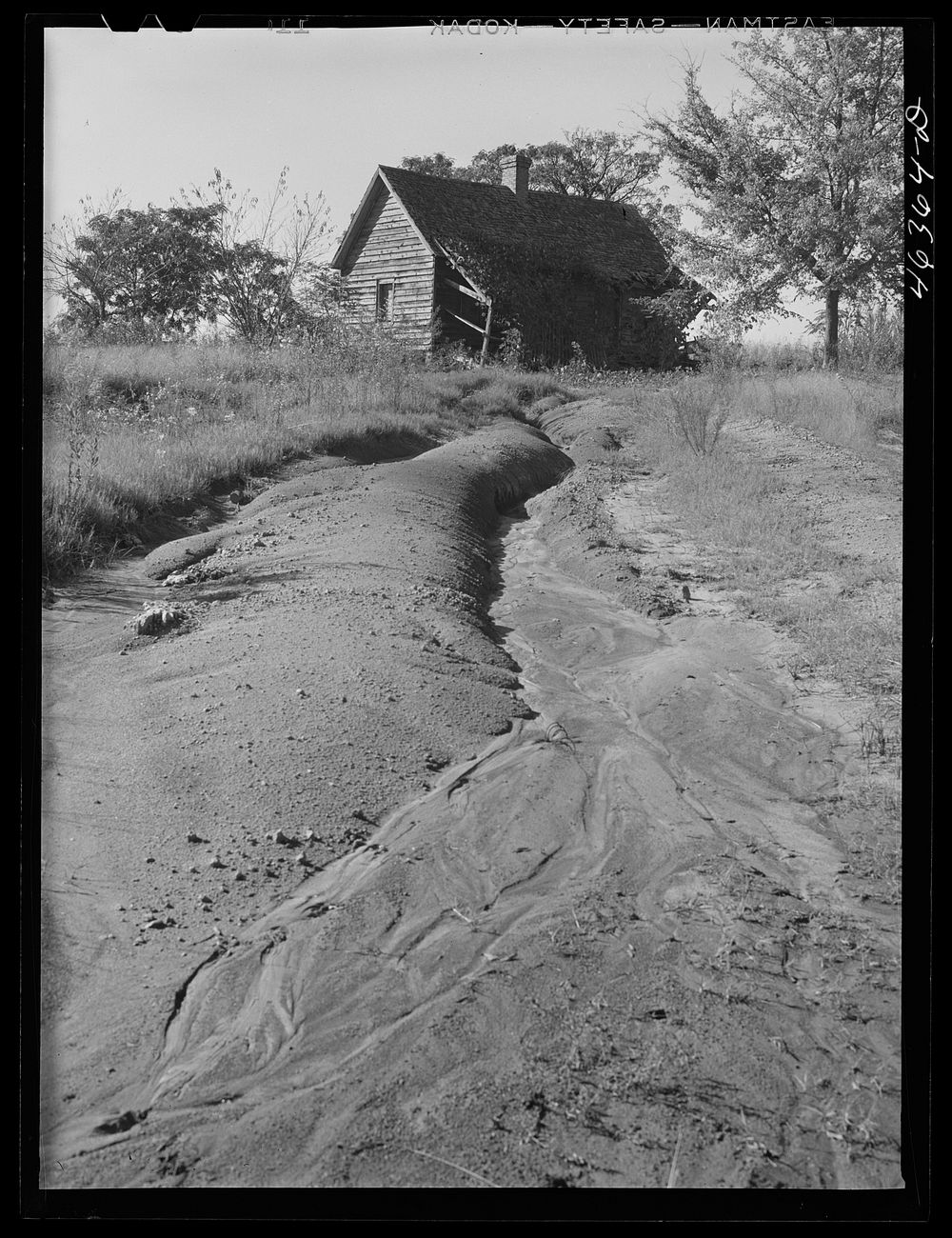 Erosion on a farm west of Greensboro, Greene County, Georgia. Sourced from the Library of Congress.