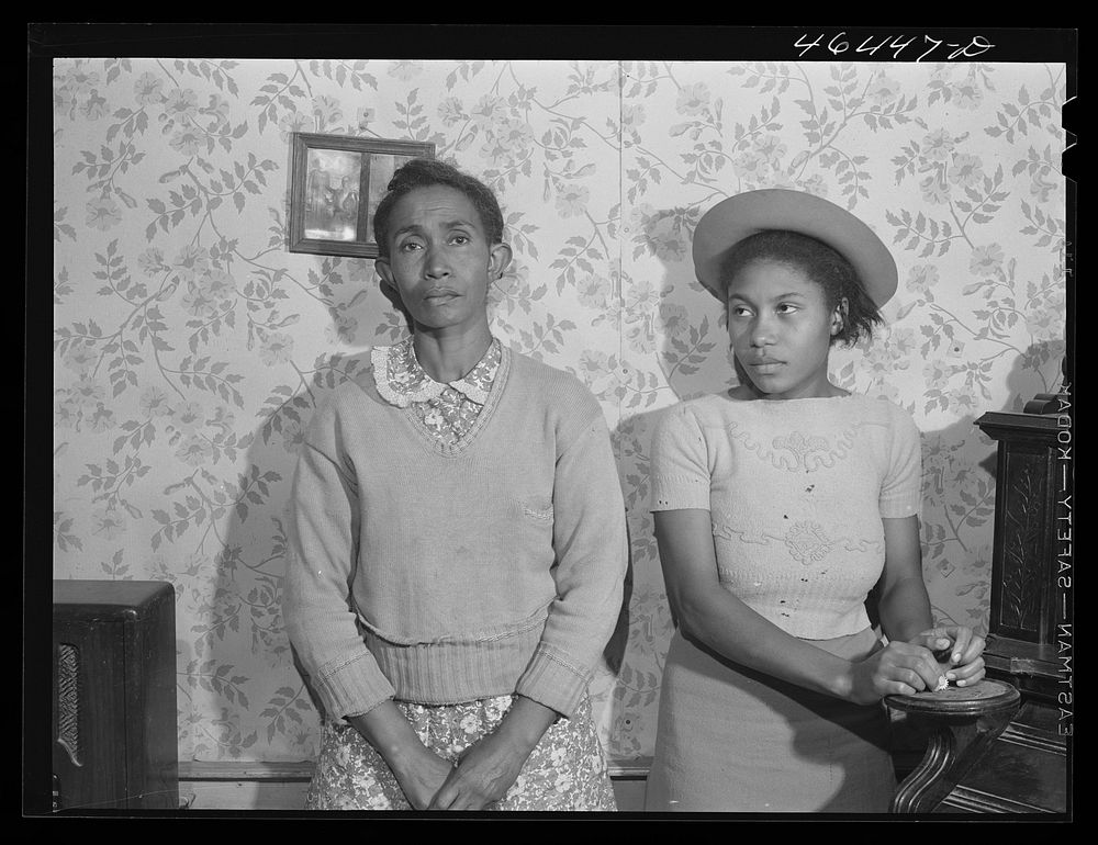 Mrs. Edmond Reid, FSA (Farm Security Administration) borrower and her daughter. Greene County, Georgia. Sourced from the…