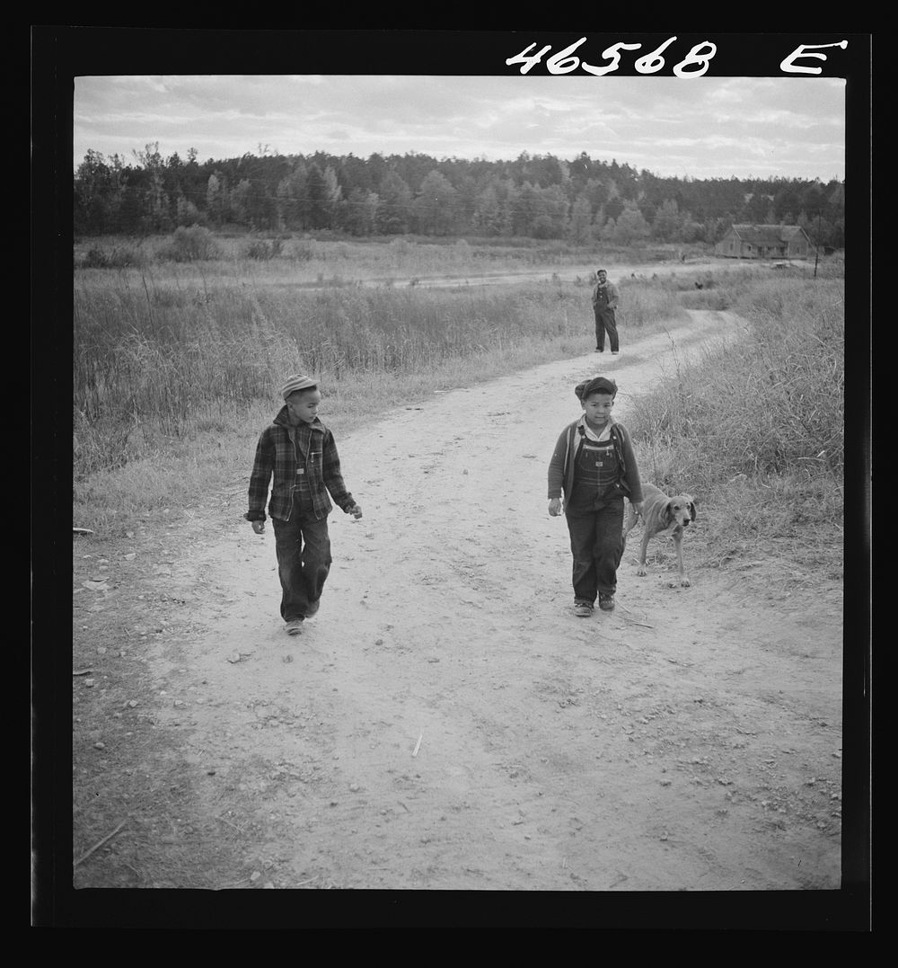 [Untitled photo, possibly related to: Boyd Jones and one of his friends coming back with their dogs from a trip into the…