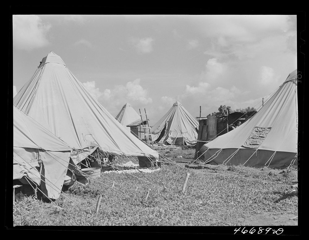 [Untitled photo, possibly related to: Bayamon, Puerto Rico (vicinity). Tent colony of twenty-five families who had been…