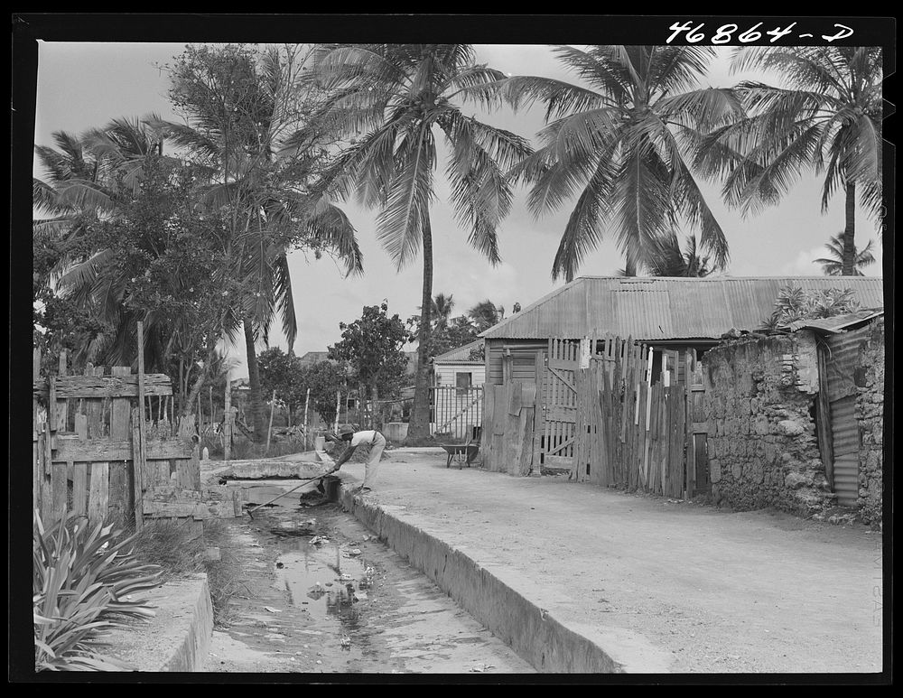 Christiansted, Saint Croix Island, Virgin Islands. Collecting garbage from an open sewer. Sourced from the Library of…