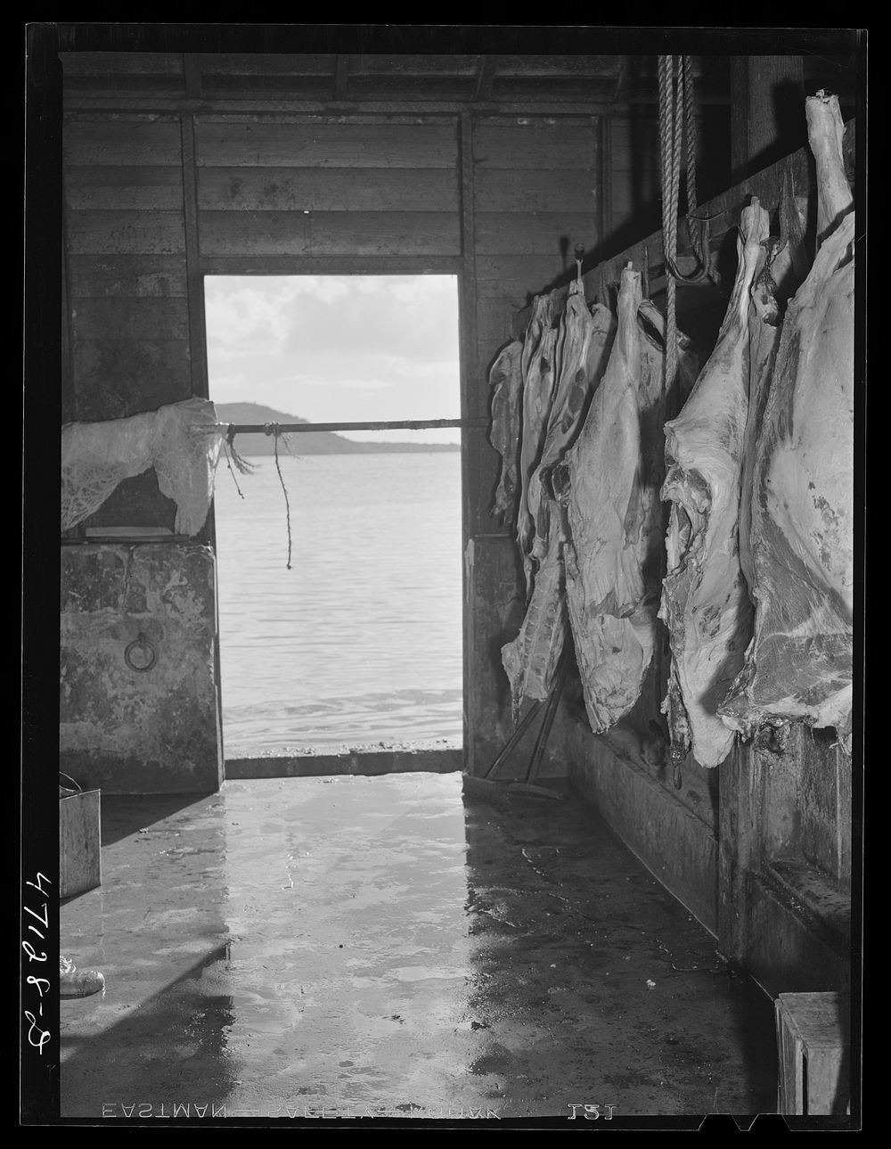 [Untitled photo, possibly related to: Charlotte Amalie, Saint Thomas Island, Virgin Islands. The slaughterhouse. In the…