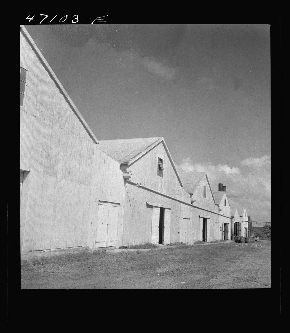 [Untitled photo, possibly related to: Christiansted, Saint Croix Island, Virgin Islands (vicinity). Sugar mill of the Virgin…