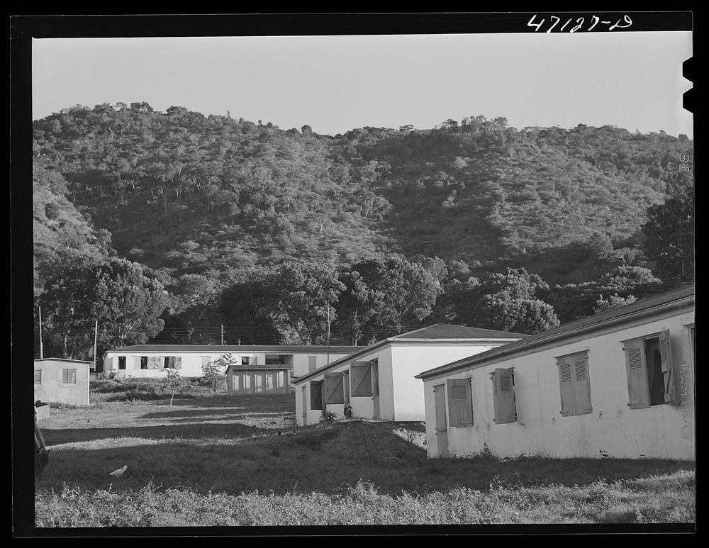 Charlotte Amalie, Saint Thomas Island, Virgin Islands. A federal housing project. Sourced from the Library of Congress.