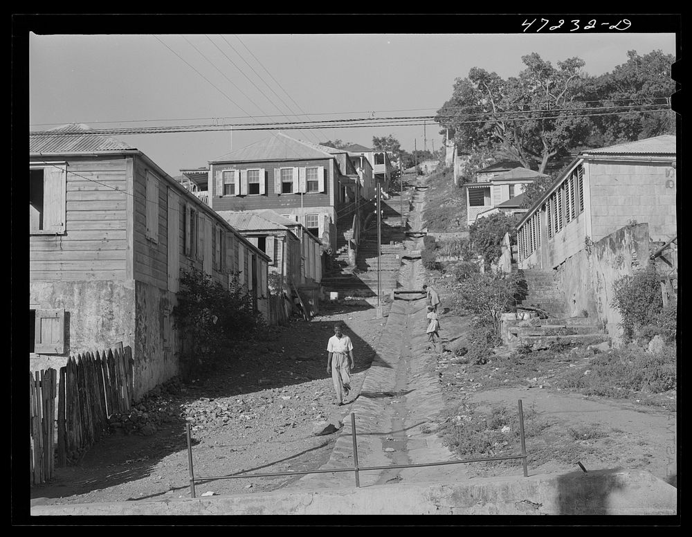 [Untitled photo, possibly related to: Charlotte Amalie, Saint Thomas Island, Virgin Islands. Open sewer on a hillside].…
