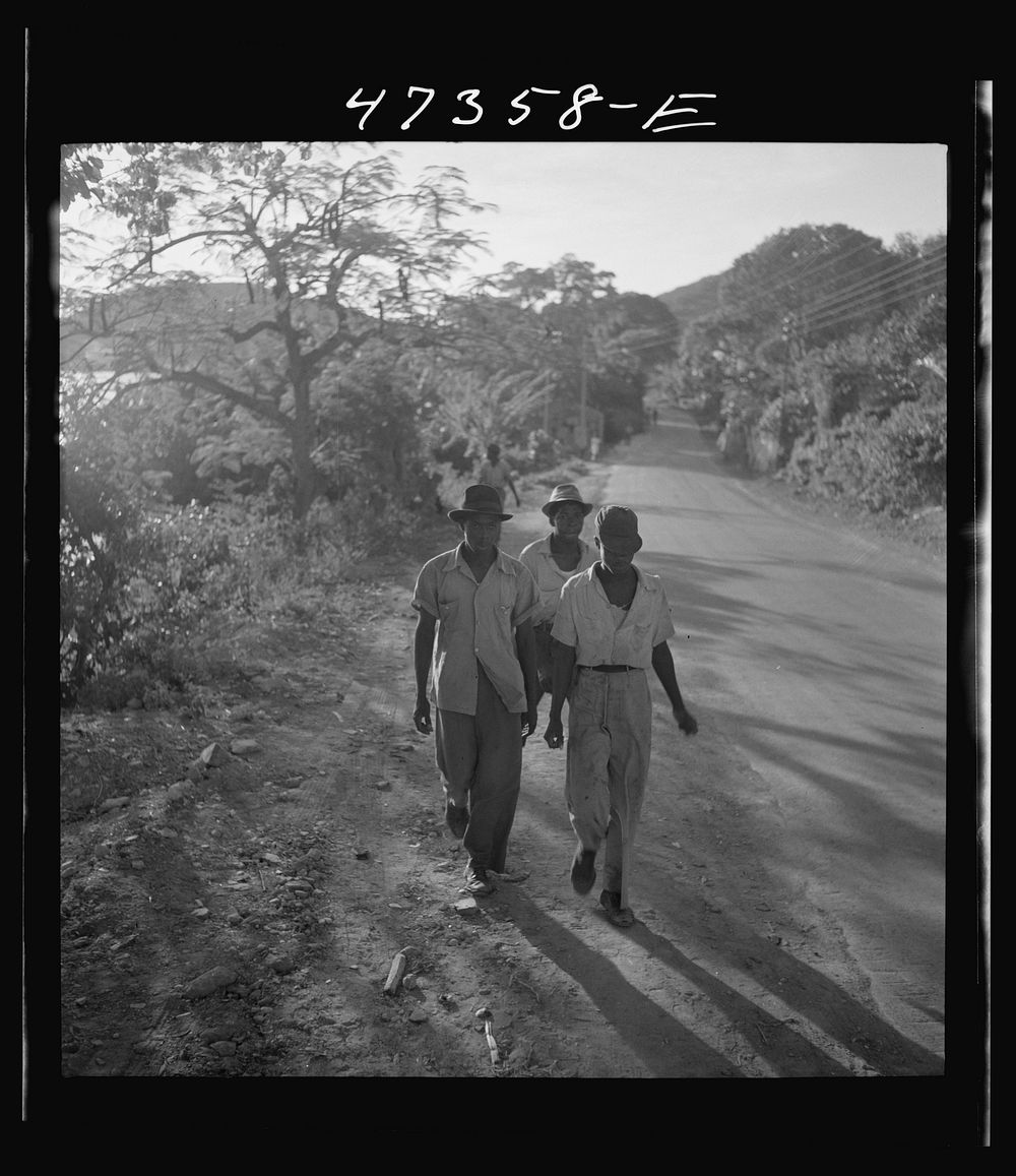 [Untitled photo, possibly related to: Saint Thomas Island, Virgin Islands. Men coming home from work at the Naval base].…