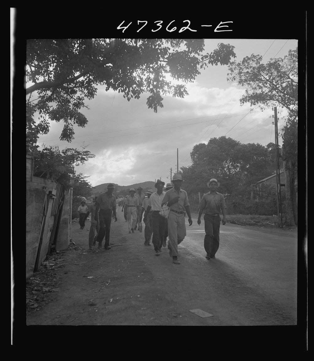 Saint Thomas Island, Virgin Islands. Men coming home from work at the Naval base. Sourced from the Library of Congress.