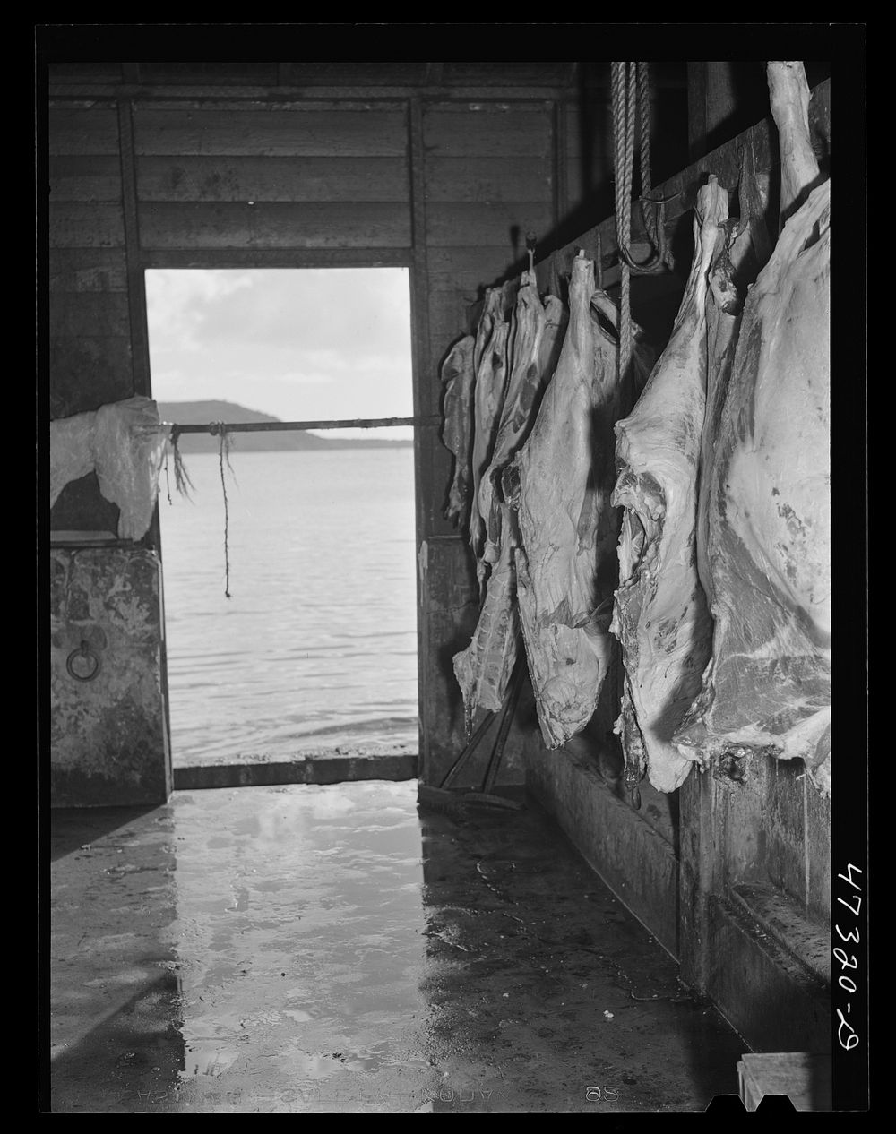 [Untitled photo, possibly related to: Charlotte Amalie, Saint Thomas Island, Virgin Islands. The slaughterhouse. In the…
