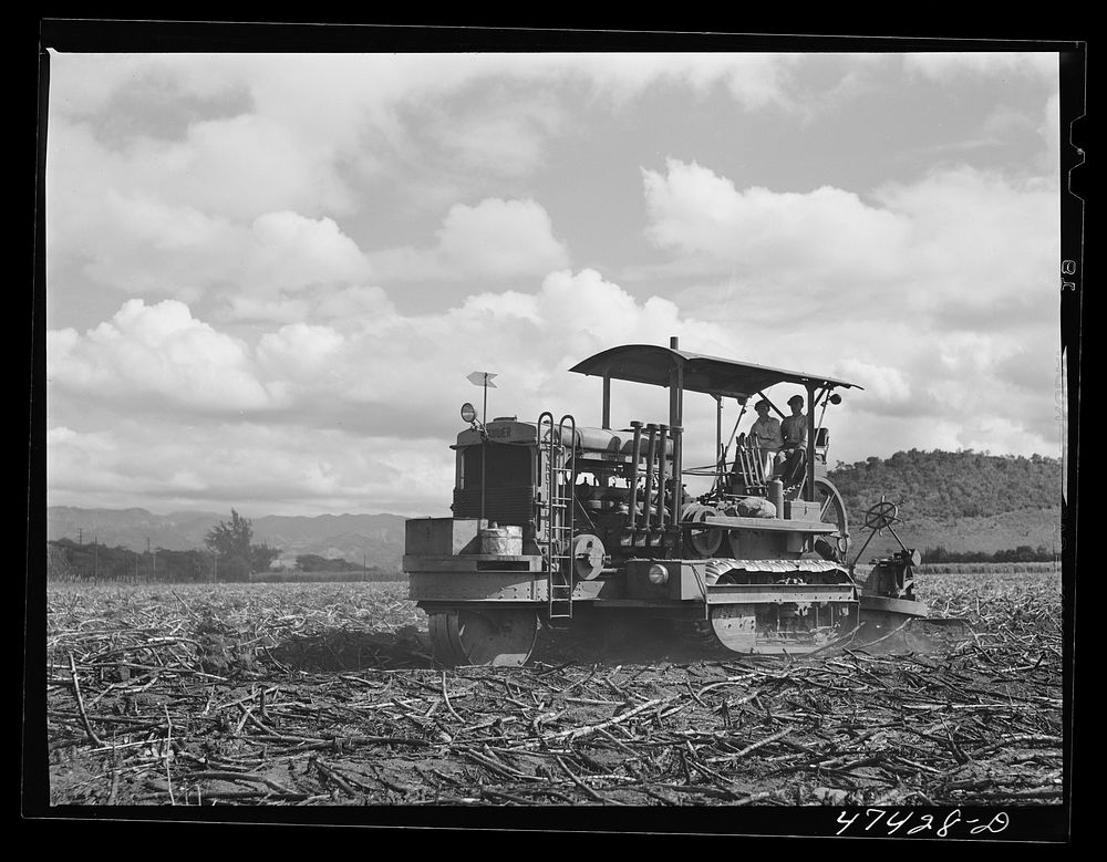 Guanica, Puerto Rico (vicinity). A "gyrotiller" plowing a sugar cane field. Sourced from the Library of Congress.