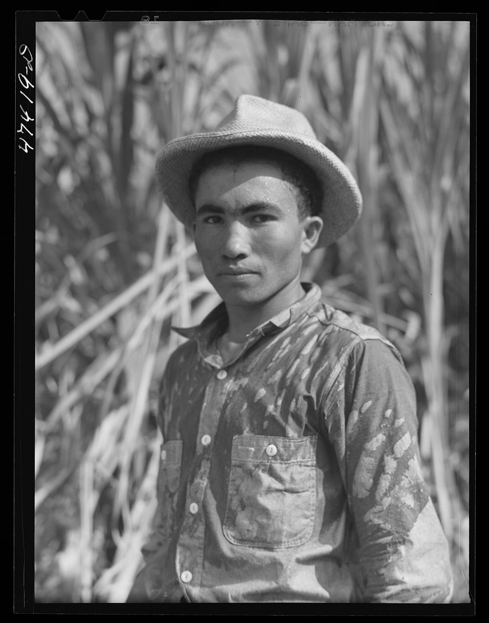 Guanica, Puerto Rico (vicinity). Farm laborer who was cutting sugar cane in a field. Sourced from the Library of Congress.