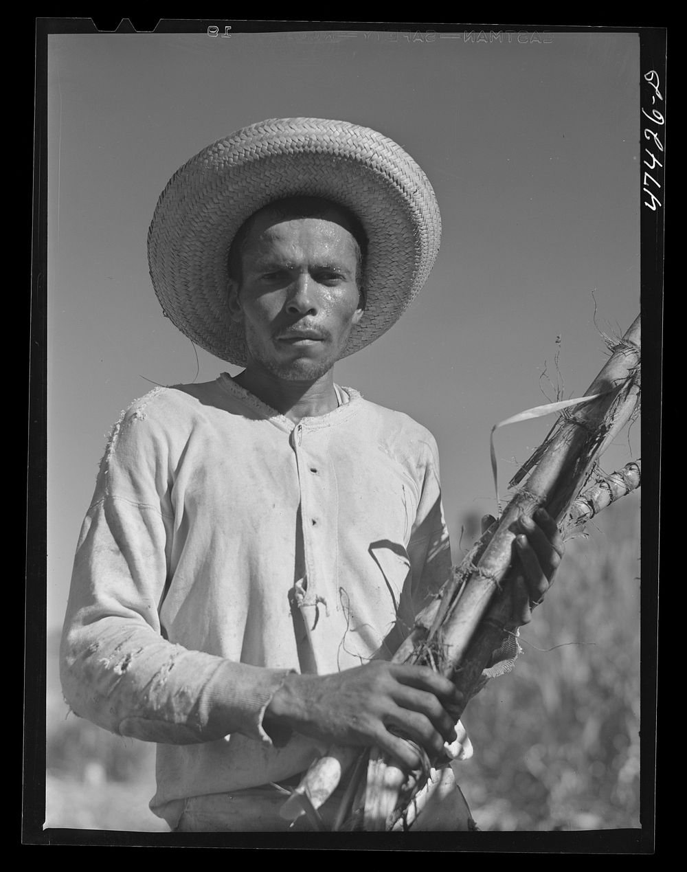 Guanica, Puerto Rico (vicinity). Farm laborer working in a sugar cane field. Sourced from the Library of Congress.