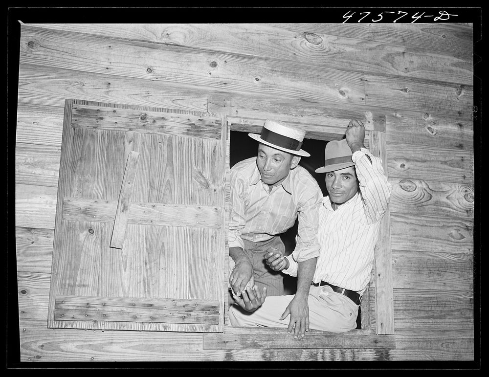 [Untitled photo, possibly related to: Guanica, Puerto Rico (vicinity) A Three Kings' eve party at the home of a farm labor…