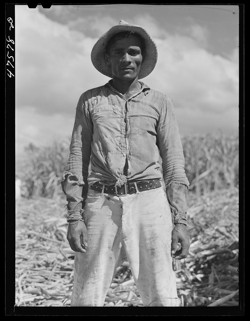 Guanica, Puerto Rico (vicinity). Ox cart driver employed in the sugar cane fields. Sourced from the Library of Congress.