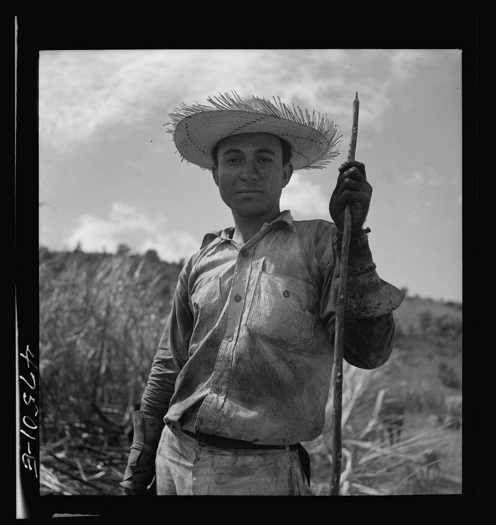 Guanica, Puerto Rico (vicinity). Ox cart driver who has been working in a burned sugar cane field. Sourced from the Library…