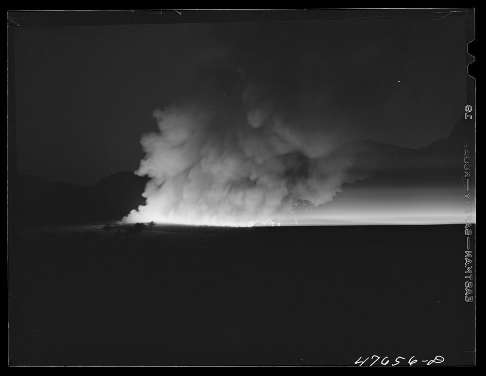 [Untitled photo, possibly related to: Guanica, Puerto Rico (vicinity). Burning a sugar cane field. This is a process that…
