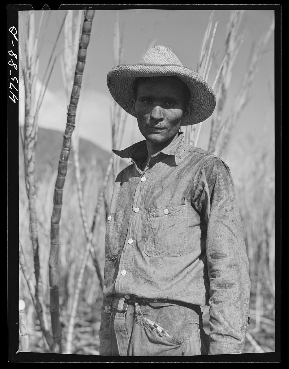 Guanica, Puerto Rico (vicinity). Farm laborer employed in cutting sugar cane at one dollar and fifty-one cents per day.…