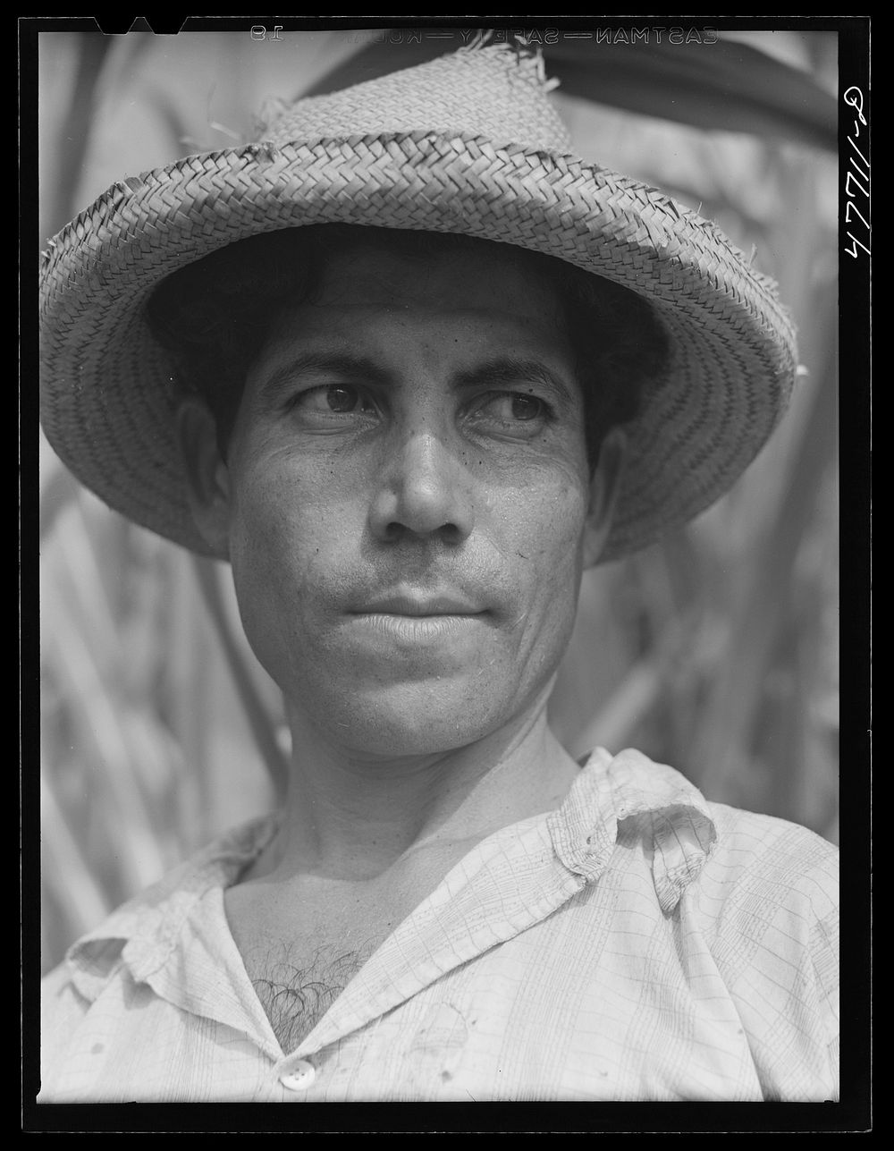 Yauco, Puerto Rico (vicinity). Farm laborer who was cutting cane in a sugar field. Sourced from the Library of Congress.