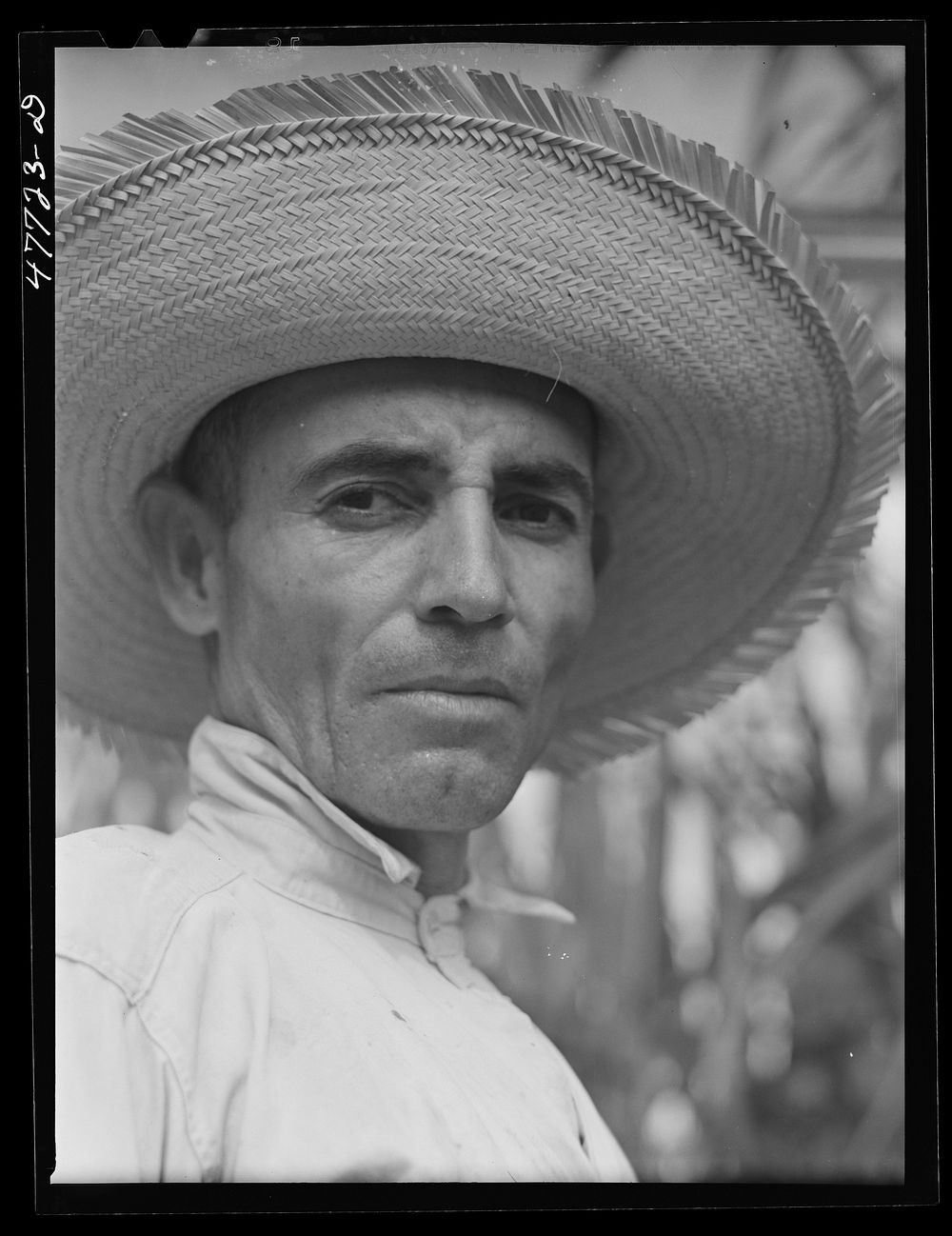 Yauco, Puerto Rico (vicinity). Farm laborer who was cutting cane in a sugar field. Sourced from the Library of Congress.