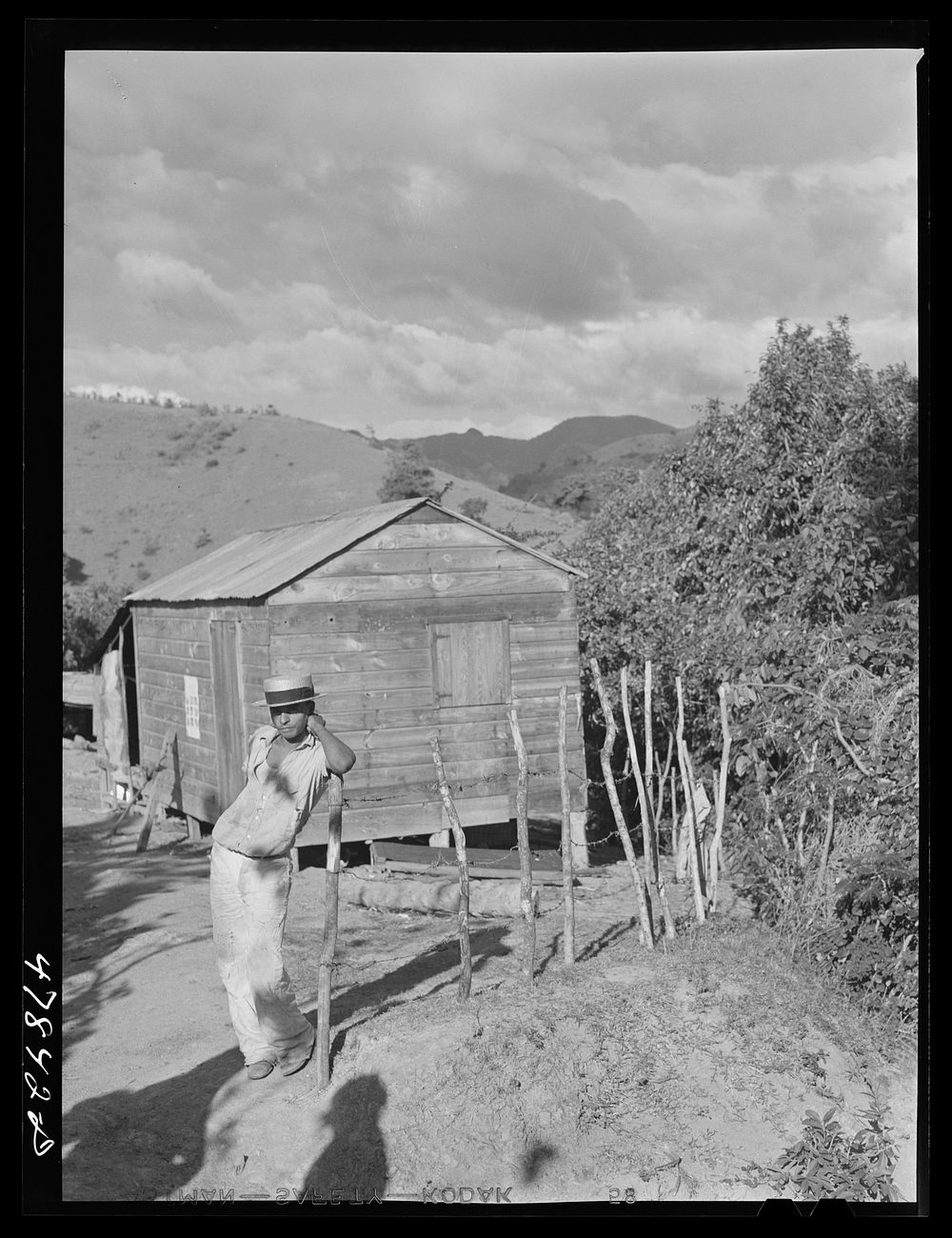 [Untitled photo, possibly related to: Yauco, Puerto Rico (vicinity). FSA (Farm Security Administration) borrower]. Sourced…