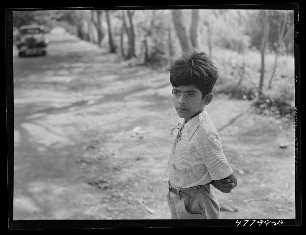 Yauco, Puerto Rico (vicinity). Young boy waiting for his father who is working in a field. Sourced from the Library of…