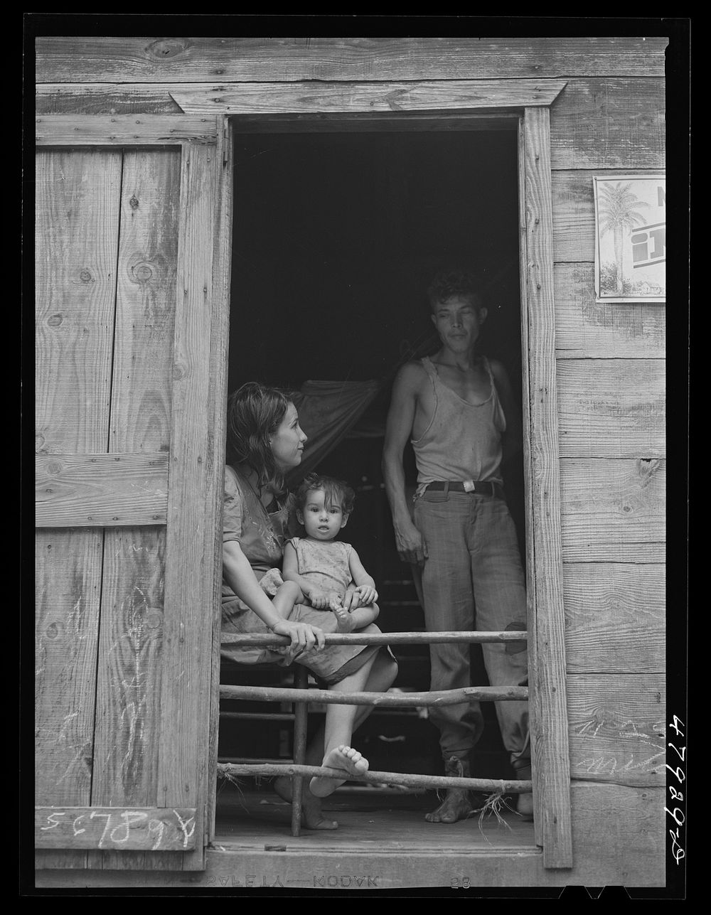 [Untitled photo, possibly related to: San German, Puerto Rico (vicinity). Farm laborer's family in the hills]. Sourced from…