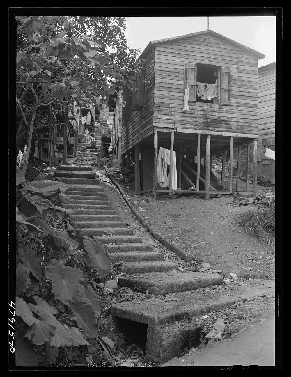 Lares, Puerto Rico. Slum street. Sourced from the Library of Congress.