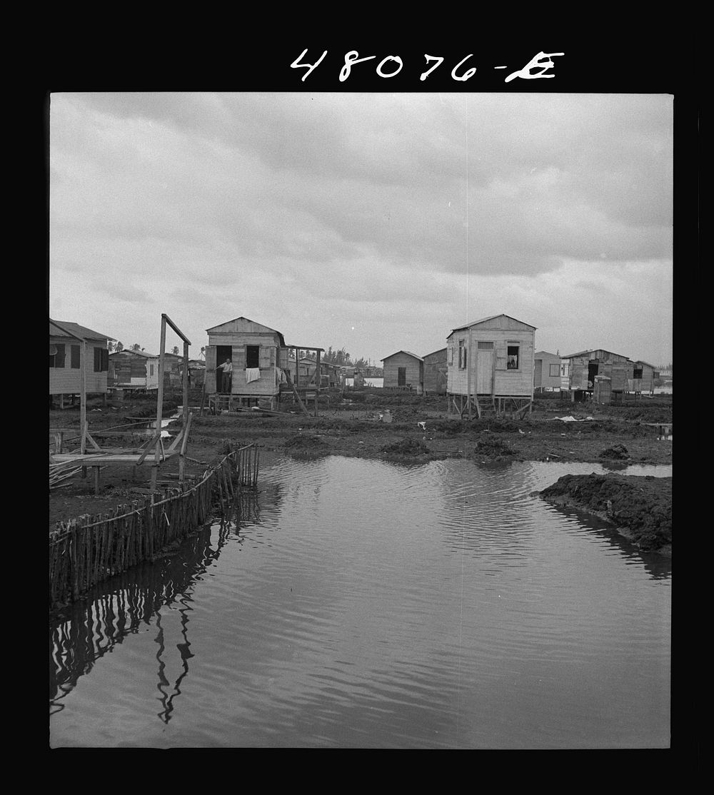 [Untitled photo, possibly related to: San Juan, Puerto Rico. In the huge slum area known as "El Fangitto"]. Sourced from the…