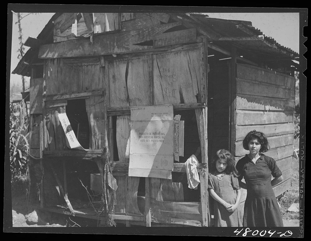 San Sebastian, Puerto Rico (vicinity). Four persons live in the shack. All are farm laborers working in the nearby cane…