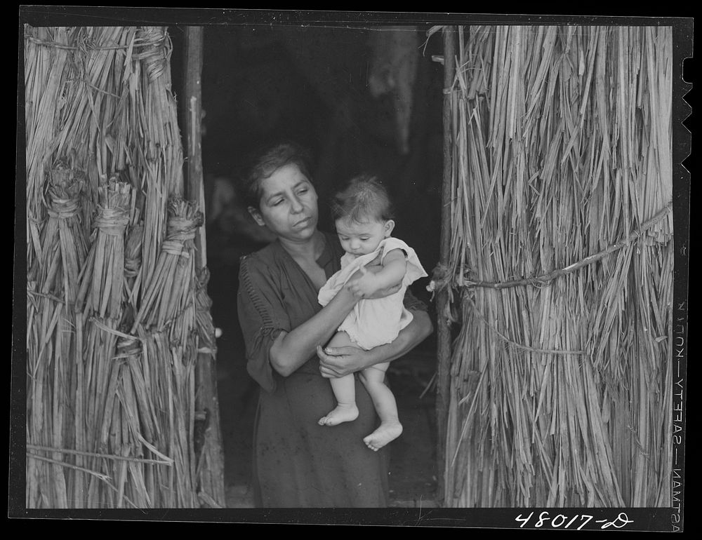 [Untitled photo, possibly related to: San Sebastian, Puerto Rico (vicinity). Widow and child of a farm laborer]. Sourced…