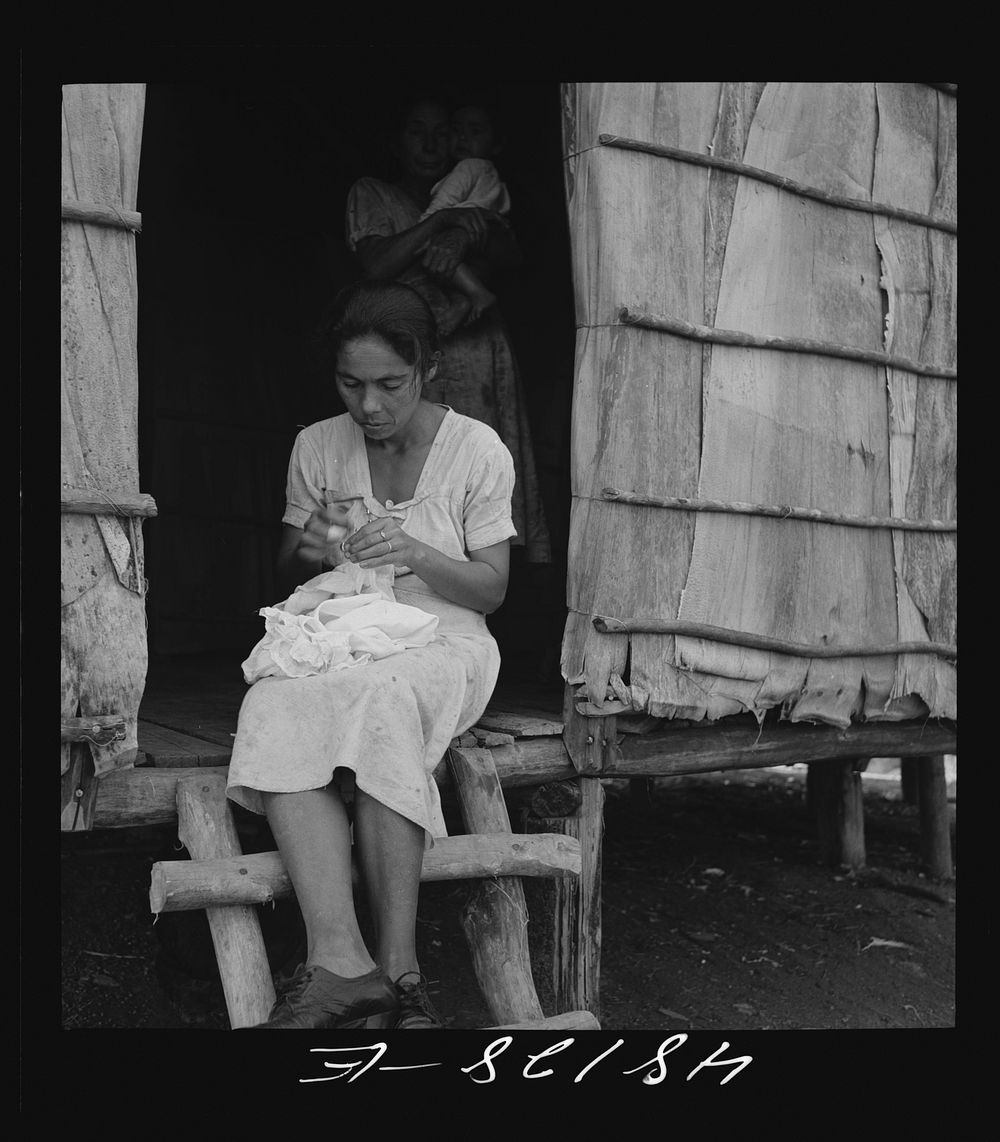 Utuado, Puerto Rico (vicinity). Stitching needlework at the home of a farm labor family in the hills. It is a widespread…