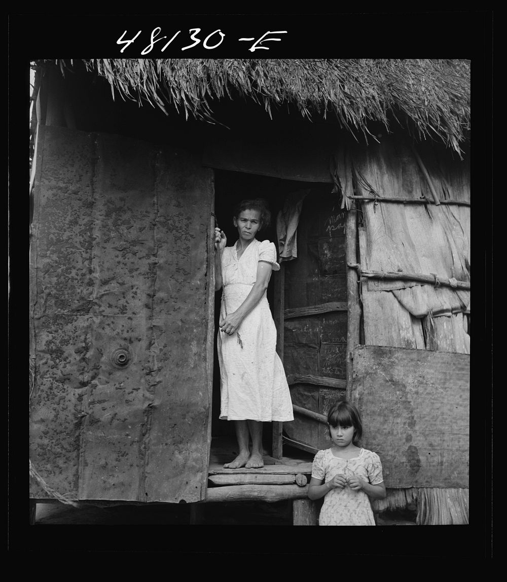 [Untitled photo, possibly related to: Utuado, Puerto Rico (vicinity). Farm laborer's family]. Sourced from the Library of…