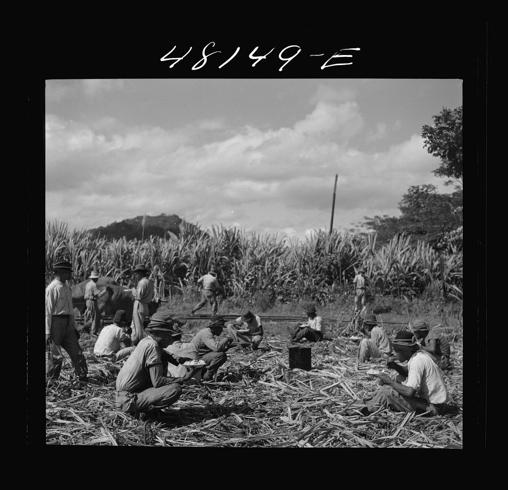 [Untitled photo, possibly related to Arecibo (vicinity), Puerto Rico. Lunchtime in a sugar field]. Sourced from the Library…