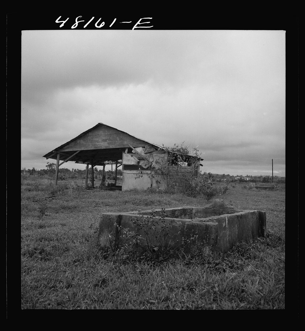 Santurce, Puerto Rico (vicinity). Watering trough and barn on property which FSA (Farm Security Administration) is buying…