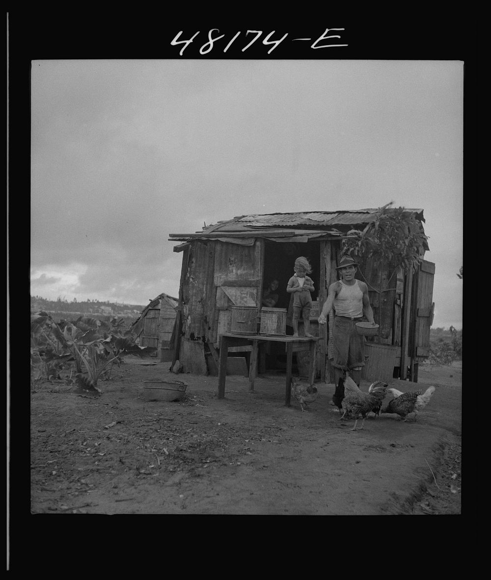 [Untitled photo, possibly related to: Santurce, Puerto Rico (vicinity). A house on the property which FSA (Farm Security…