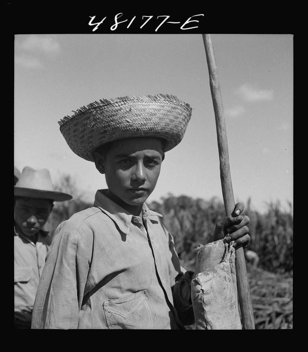 Rio Piedras, Puerto Rico (vicinity). Son of one of the FSA (Farm Security Administration) farmers on the tenant purchase…