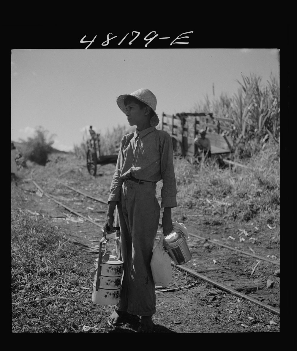 [Untitled photo, possibly related to: Rio Piedras (vicinity), Puerto Rico. Son of one of the FSA (Farm Security…