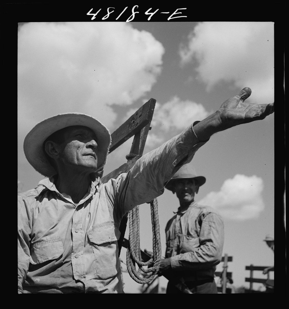 [Untitled photo, possibly related to: Rio Piedras (vicinity), Puerto Rico. FSA (Farm Security Administration) boroower who…