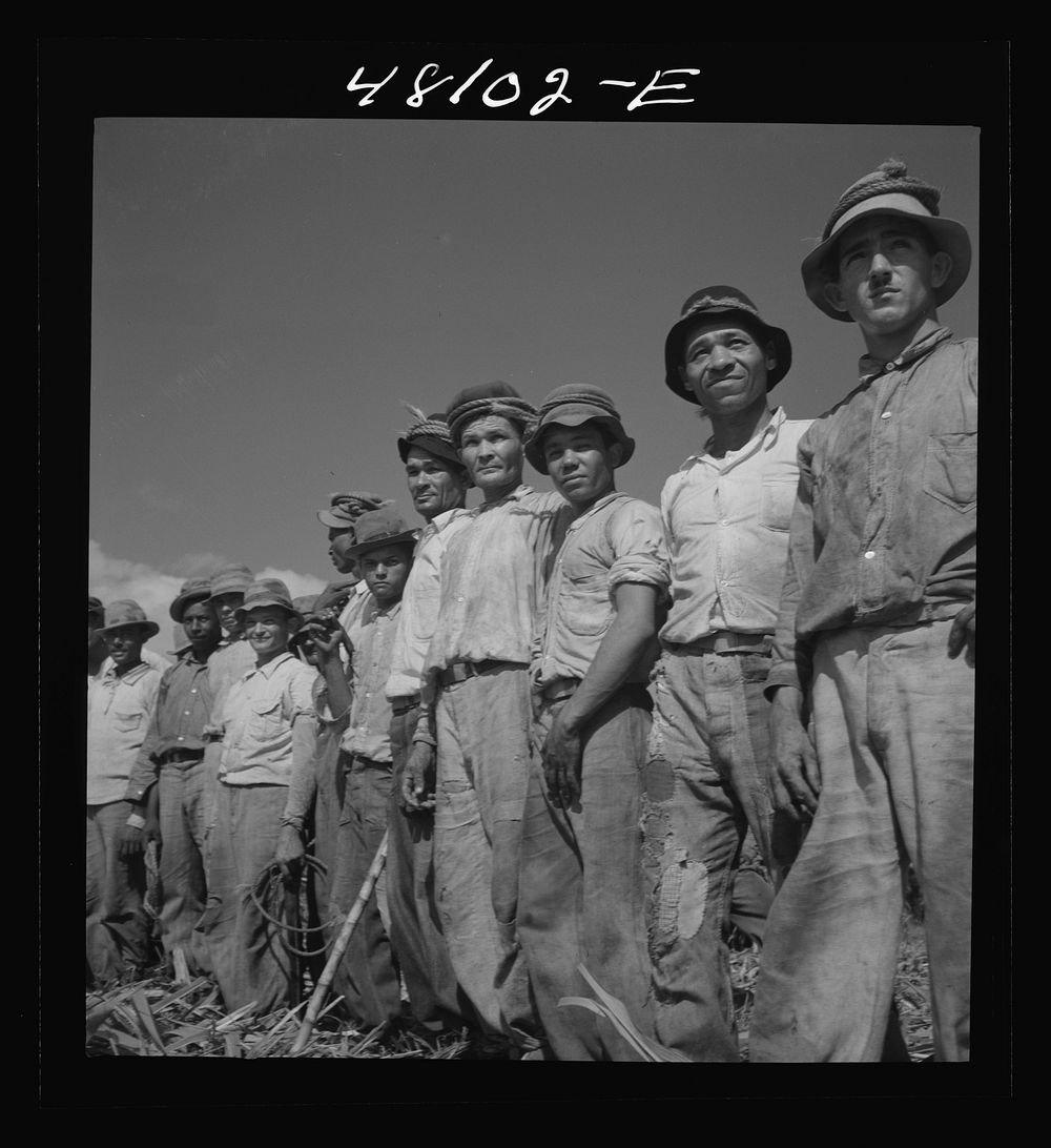 Arecibo, Puerto Rico. Sugar laborers on a huge plantation. Sourced from the Library of Congress.