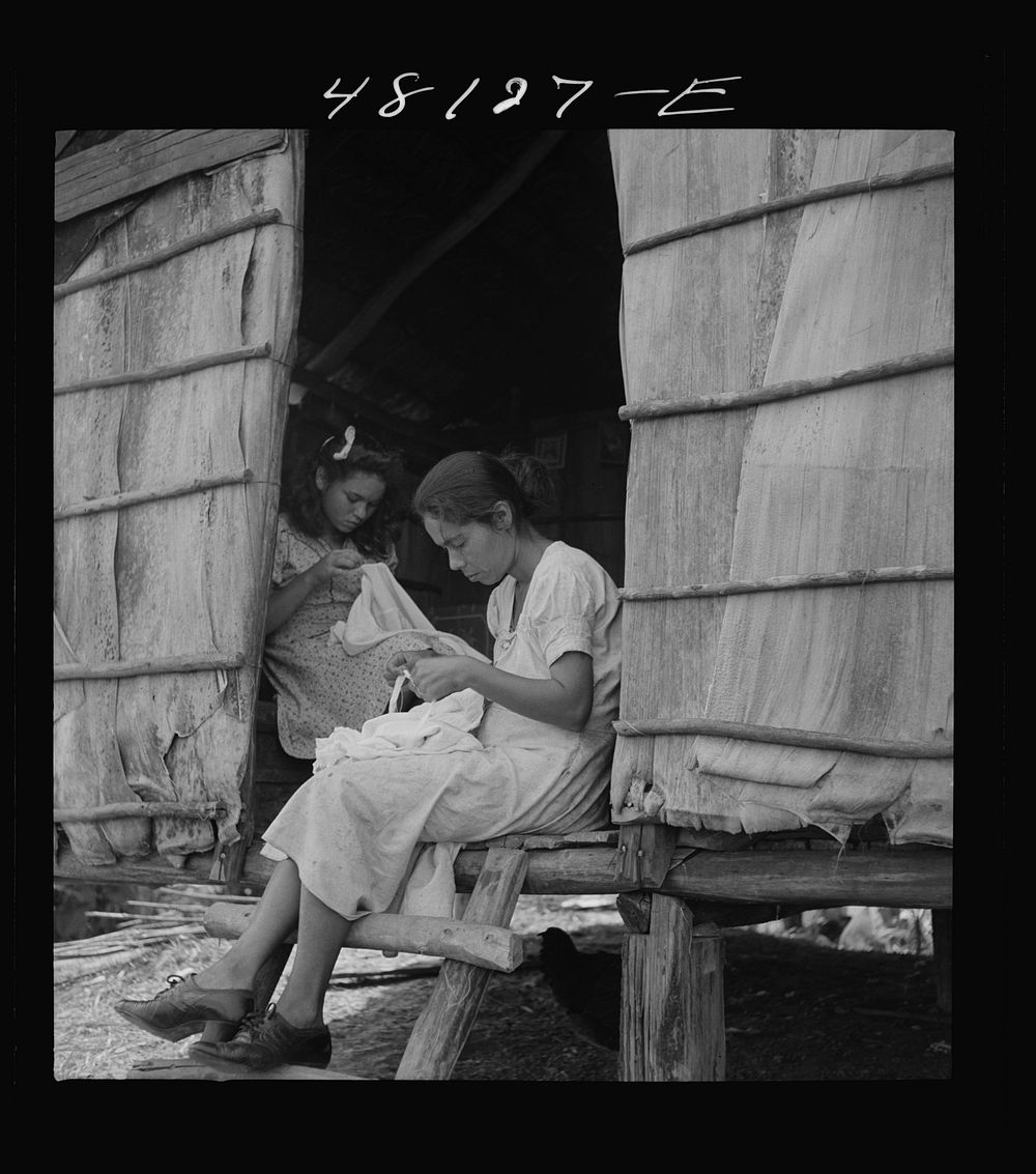 [Untitled photo, possibly related to: Utuado, Puerto Rico (vicinity). Stitching needlework at the home of a farm labor…