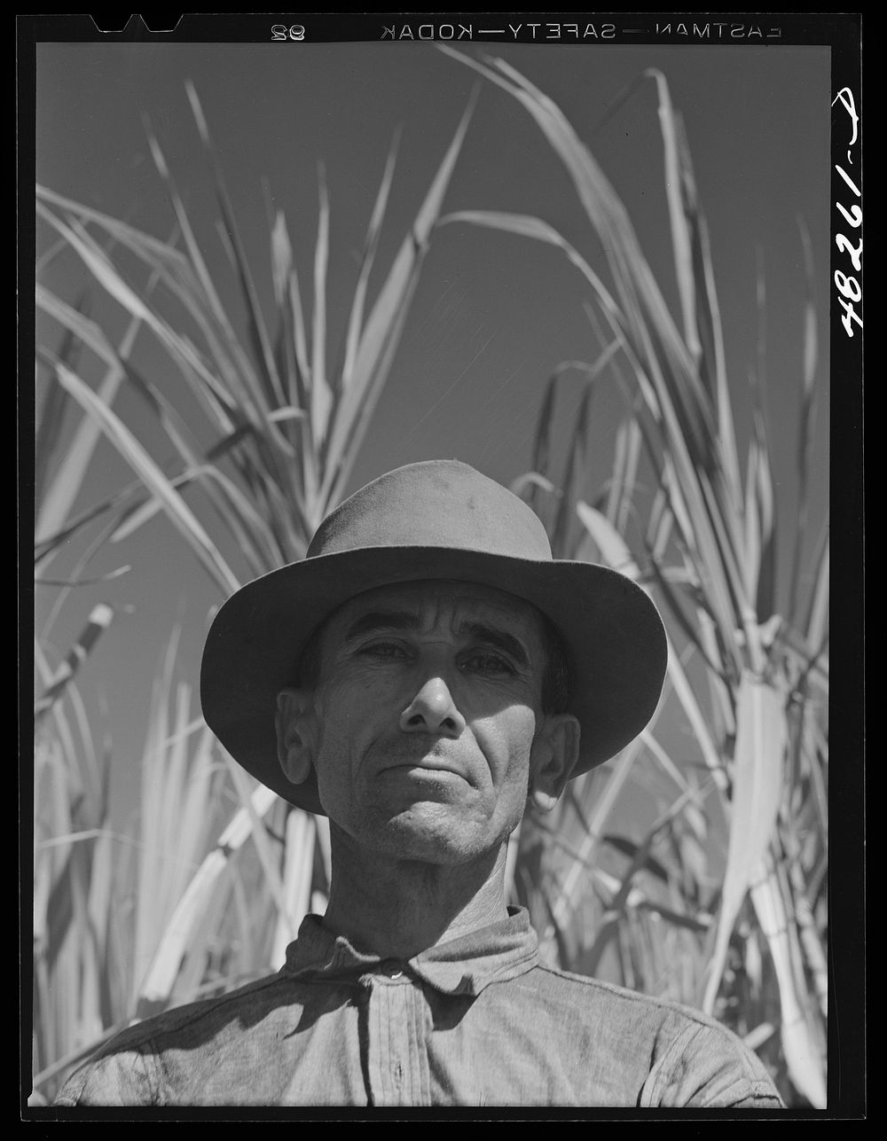 [Untitled photo, possibly related to: Rio Piedras (vicinity), Puerto Rico. FSA (Farm Security Administration) borrower who…