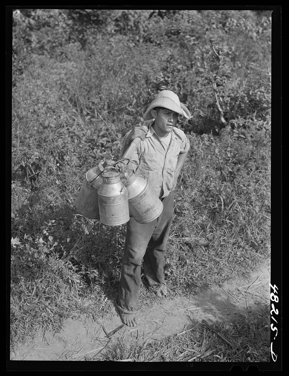 [Untitled photo, possibly related to: Utuado, Puerto Rico (vicinity). Milkman on a road]. Sourced from the Library of…