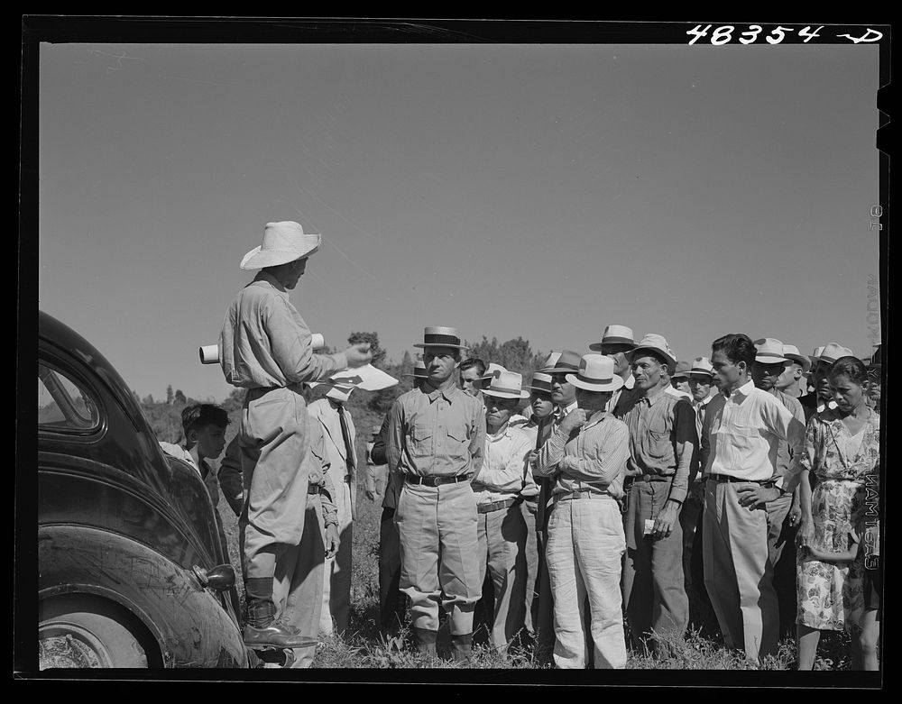 [Untitled photo, possibly related to: Manati (vicinity), Puerto Rico. FSA (Farm Security Administration) borrowers and their…